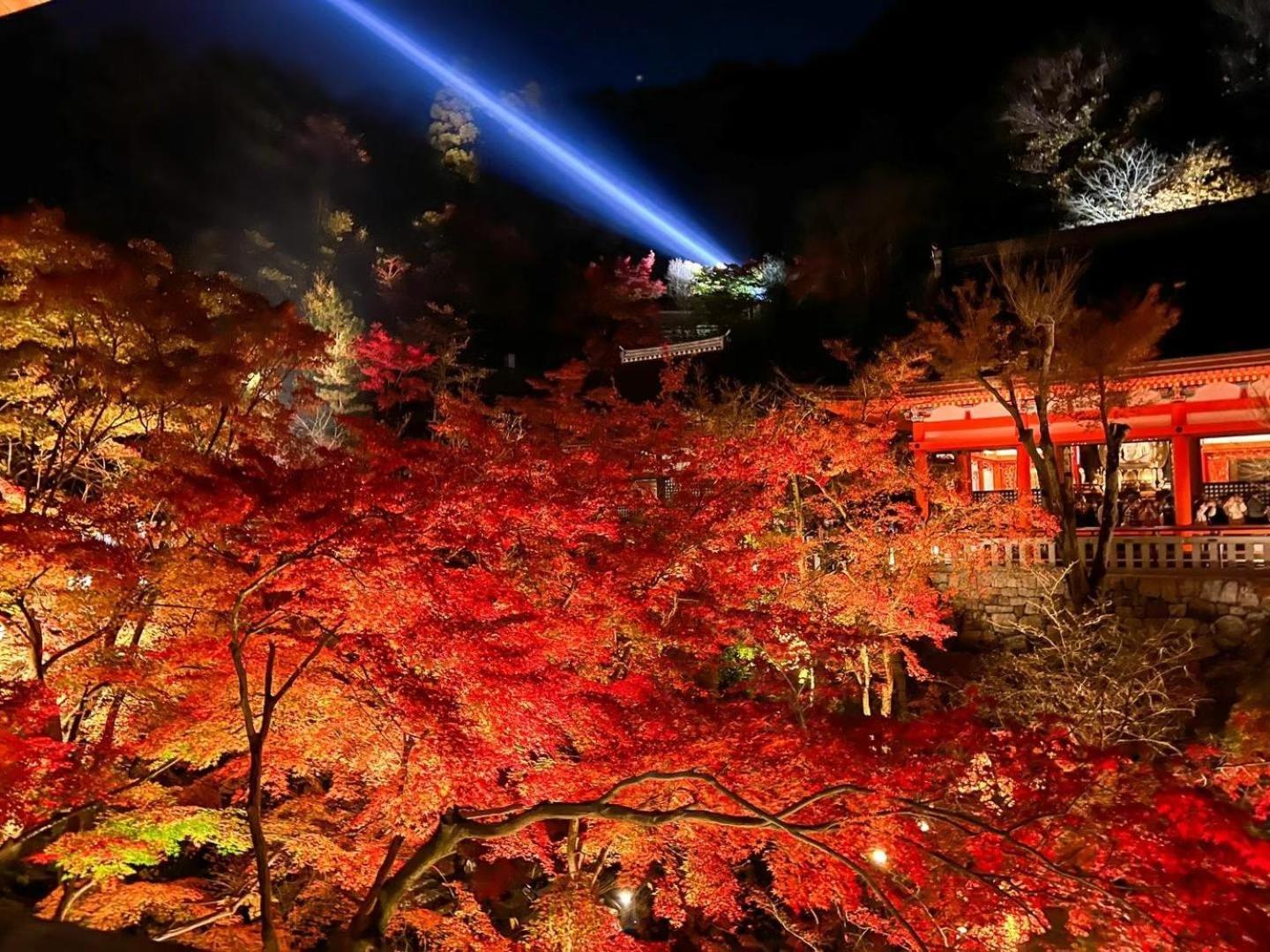 Rinn Gion Shirakawa Kyoto Extérieur photo